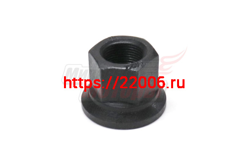 Гайка шпильки колеса M22 HOWO (WG9003884160) Гайка шпильки колеса M22 HOWO (WG9003884160)