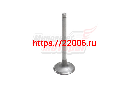 Клапан впускной 1шт BAW 1044 Euro 2, 4100QBZL (4100QB03001)