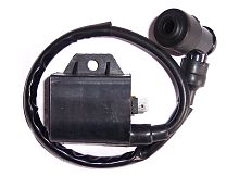 Катушка зажигания Suzuki AD 50 SM