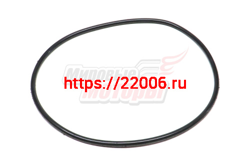 Кольцо уплотнительное бортового редуктора HOWO (199012340029) Кольцо уплотнительное бортового редуктора HOWO (199012340029)