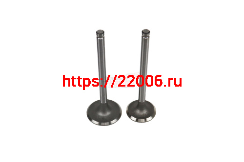 Клапаны (впуск/выпуск) JDZ195ND, R16ND