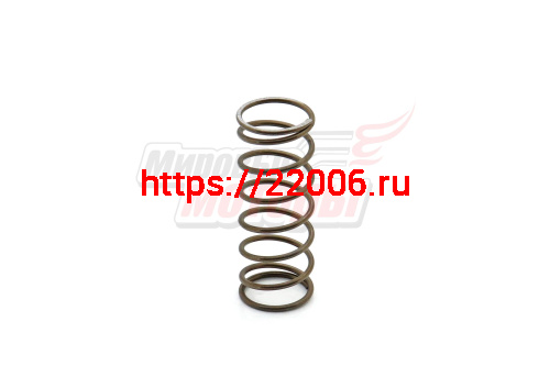 Пружина вала заднего хода КПП SR1Z-135Е Пружина вала заднего хода КПП SR1Z-135Е