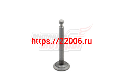 Клапан выпускной мотокосы 4-х тактн. GBC-31F Клапан выпускной мотокосы 4-х тактн. GBC-31F